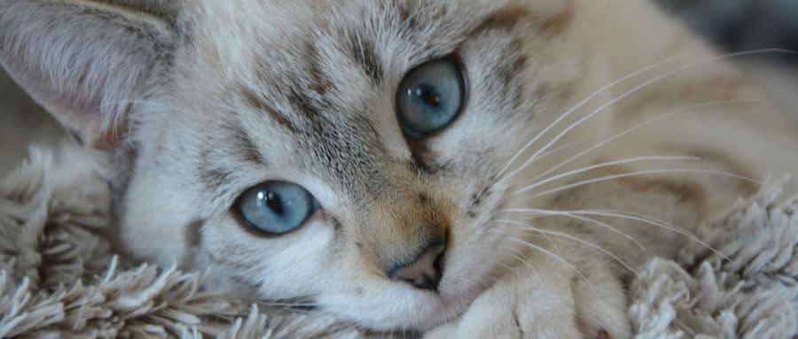 我们是做什么的？